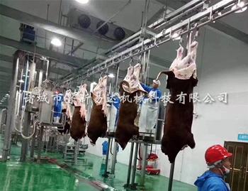 牛胴體加工輸送機